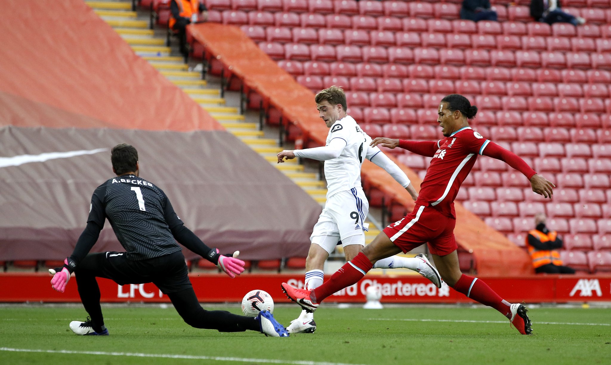 这个声明不 这个声明不